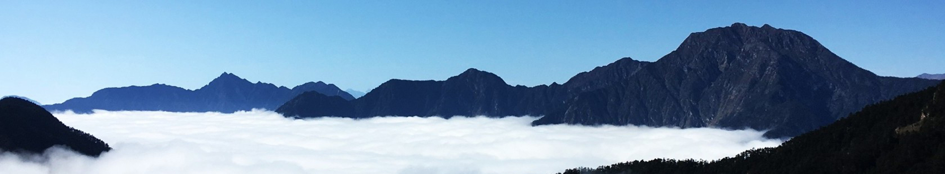 �Wվ�S�o��Ҋ���}